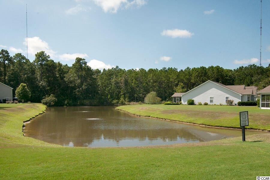 225 Seville Drive Murrells Inlet, SC 29576 - Photo 22 of 29 Gallery Image 22