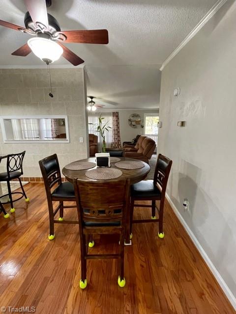 2619 Quick Road Ruffin, NC 27326 - Photo 6 of 19 Gallery Image 6