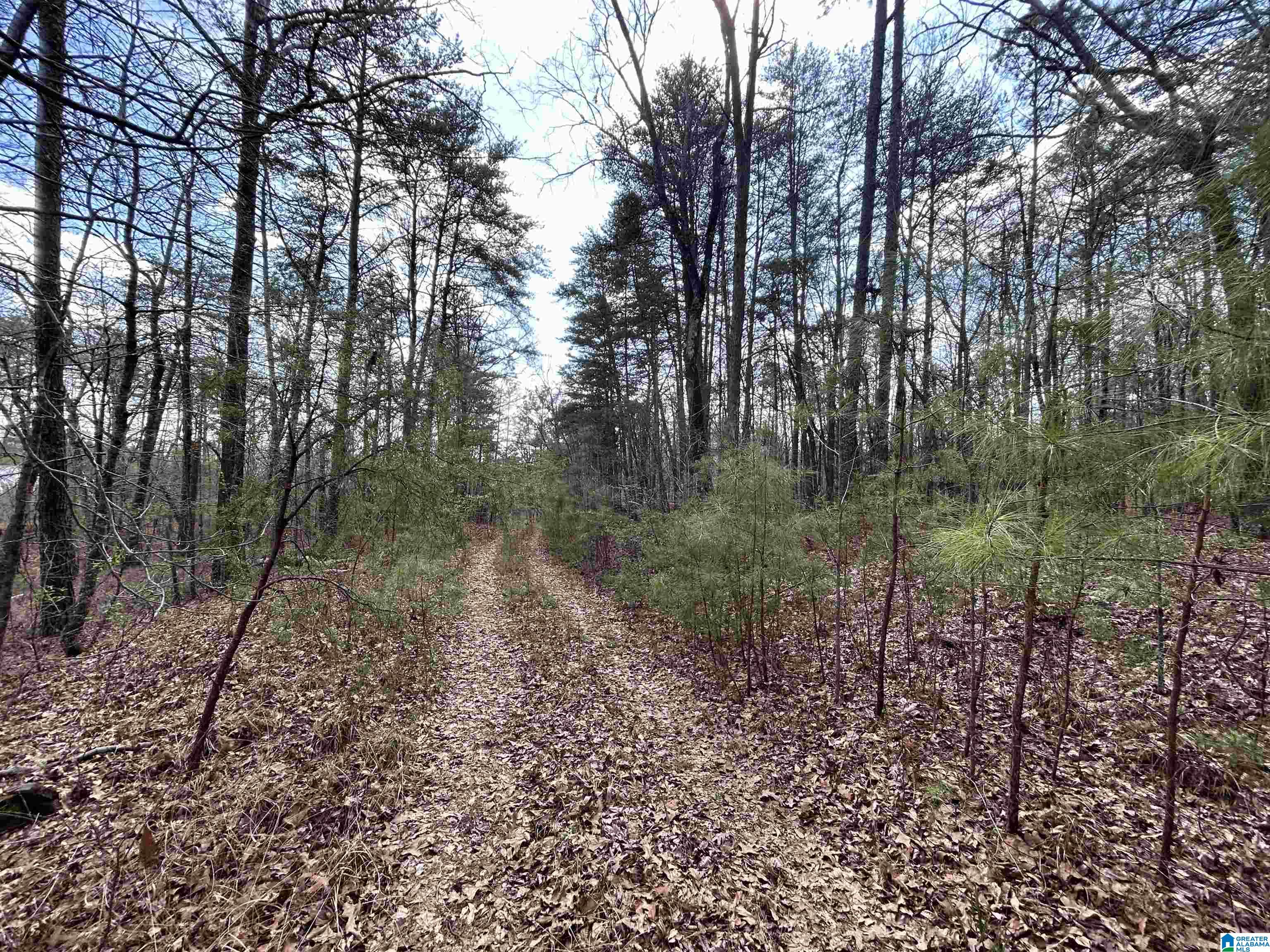 7510 Springer Road, Unit 1 McCalla, AL 35111 - Photo 9 of 9 Gallery Image 9