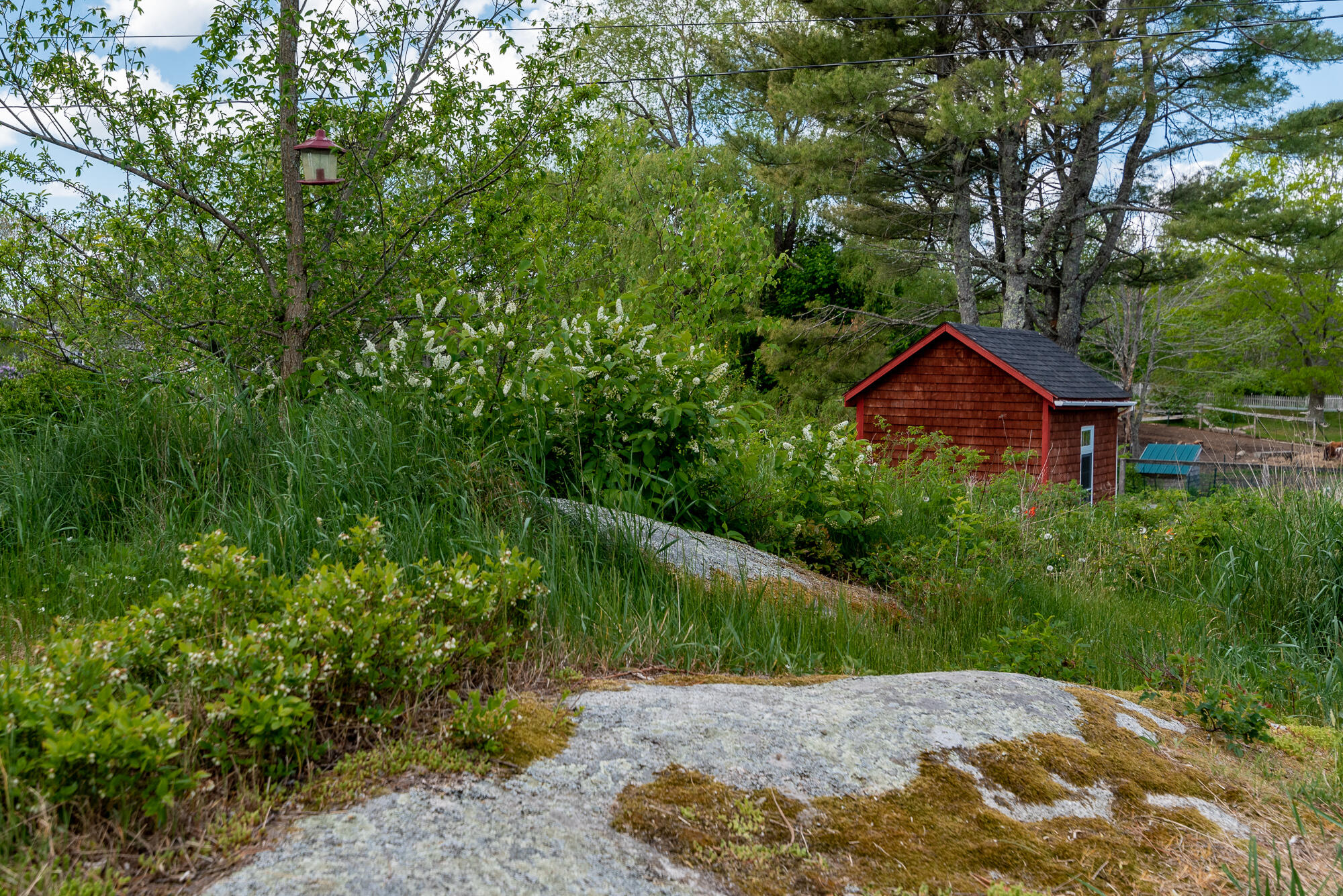 9 2nd Street Spruce Head, ME 04859 - Photo 21 of 23 9 Second Street - CarlyZaniboni-25