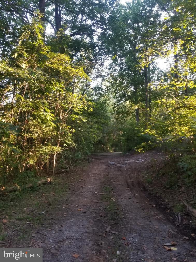 Folk Turn Road Falling Waters, WV 25419 - Photo 12 of 27 Gallery Image 12