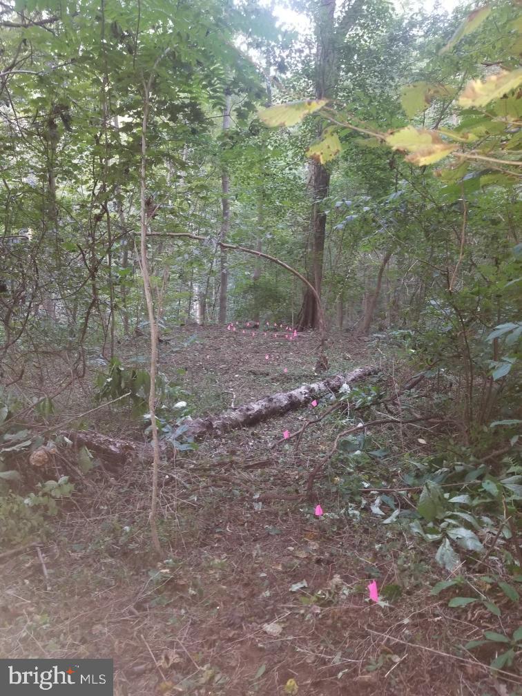 Folk Turn Road Falling Waters, WV 25419 - Photo 16 of 27 Gallery Image 16