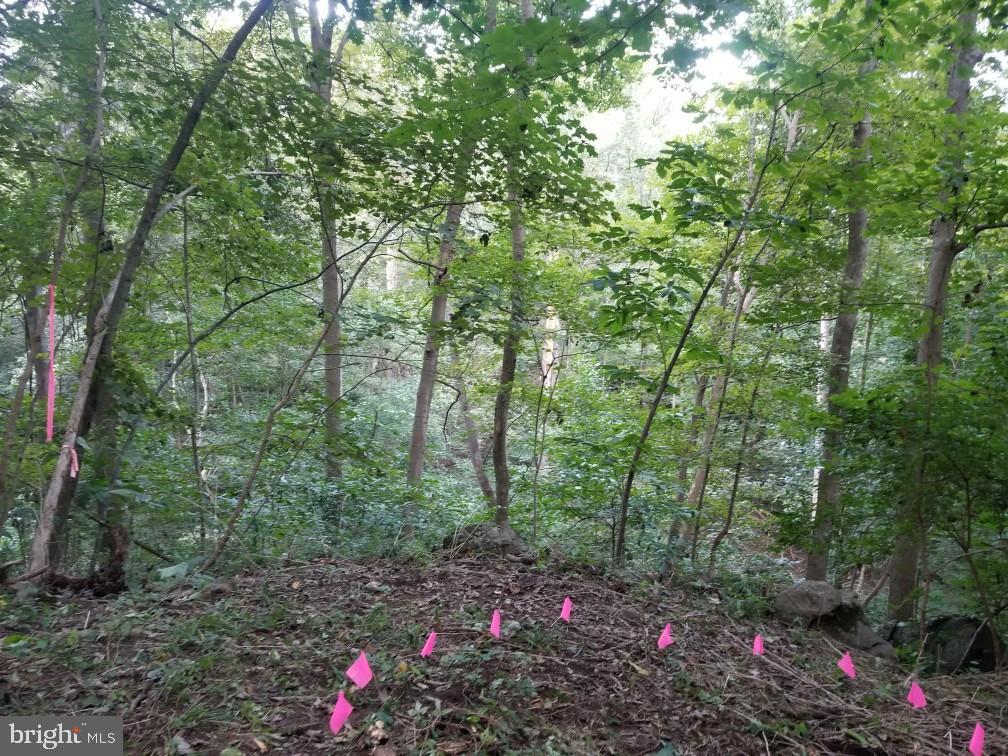 Folk Turn Road Falling Waters, WV 25419 - Photo 23 of 27 Gallery Image 23