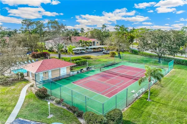 a view of a yard with plants and large trees