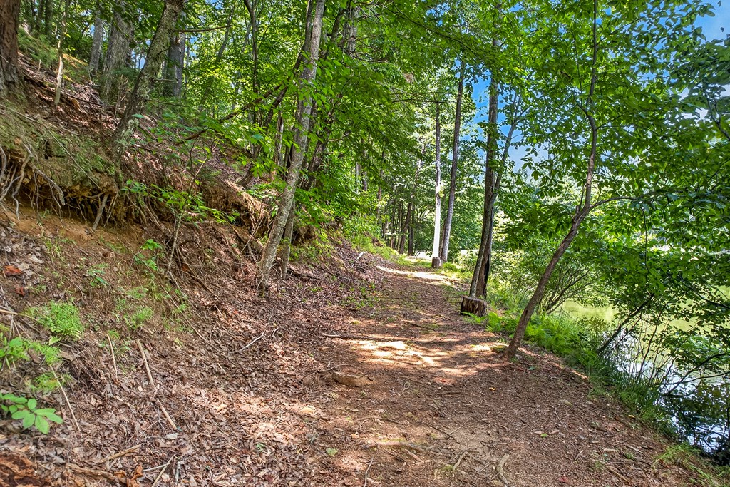 986 Mountain Oak Road Ellijay, GA 30536 - Photo 39 of 59 Gallery Image 39