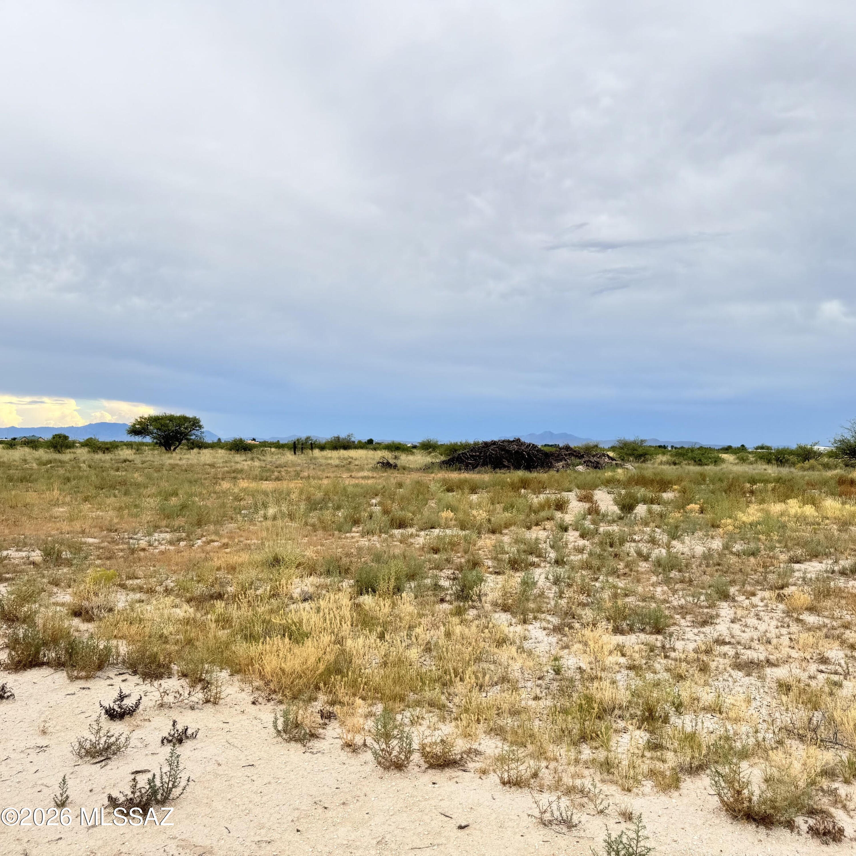 269 West Iron Rose Road Willcox, AZ 85643 - Photo 8 of 34 IR 9
