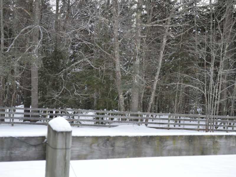 88 Peabody Road Harpswell, ME 04079 - Photo 35 of 35 Yard/Garden. Paddock