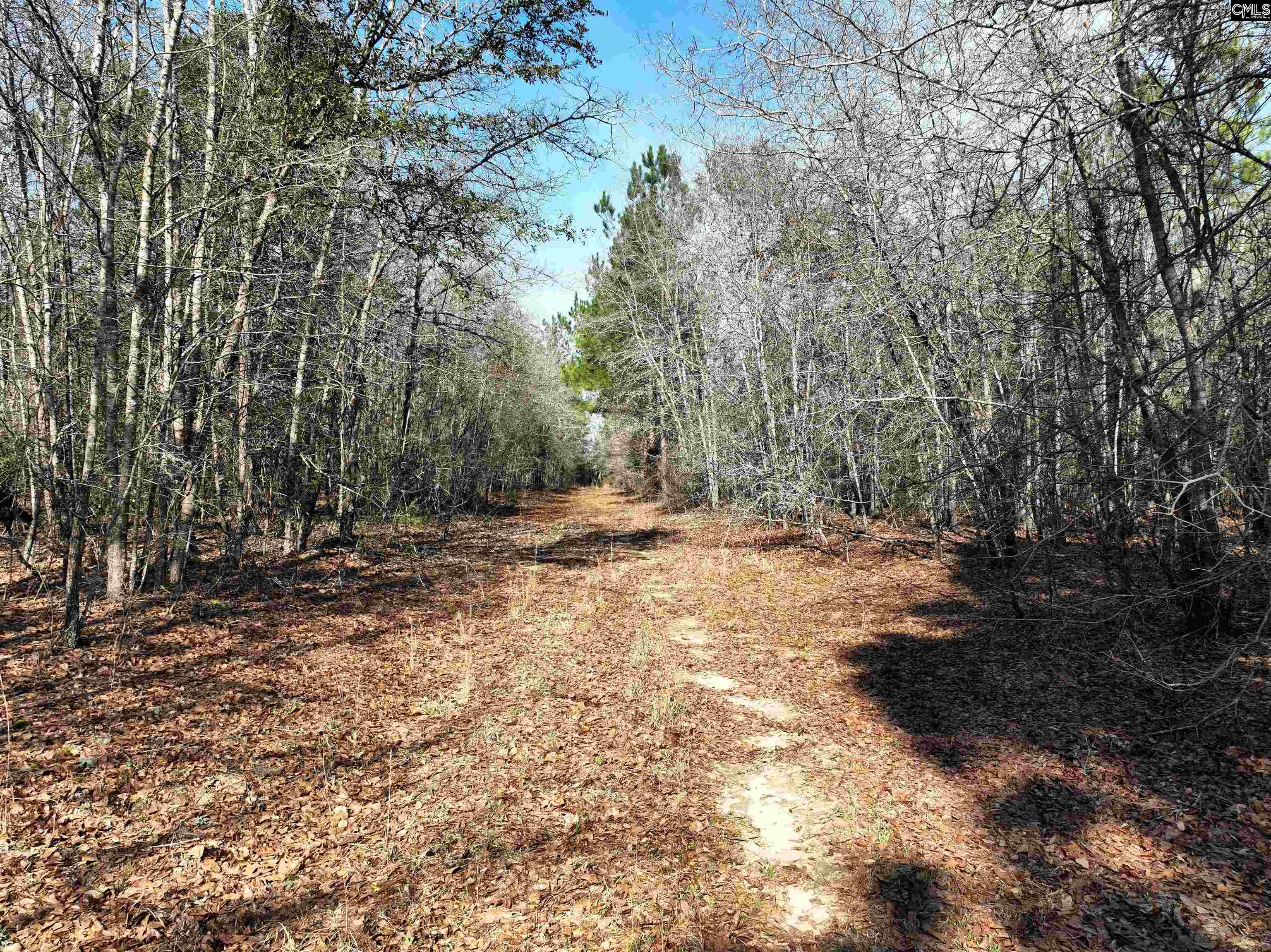 0 Salley Road Salley, SC 29137 - Photo 15 of 21