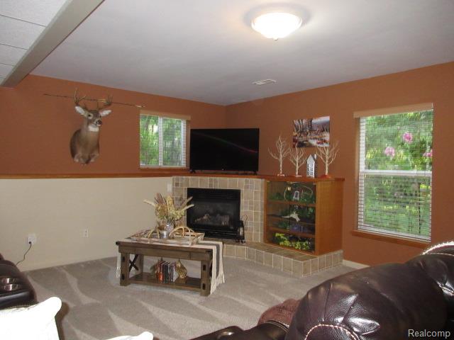11356 Tall Shadows Court Pinckney, MI 48169 - Photo 17 of 29 IMG_0941.JPG