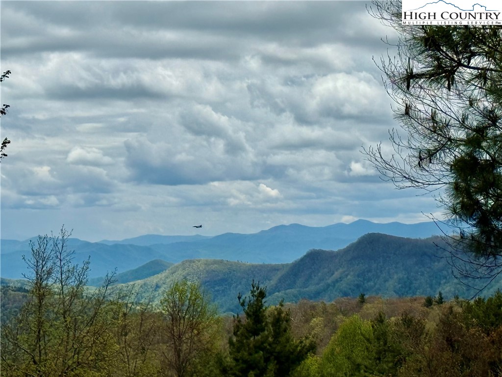 7348 Joe Johnson Street Newland, NC 28657 - Photo 2 of 32