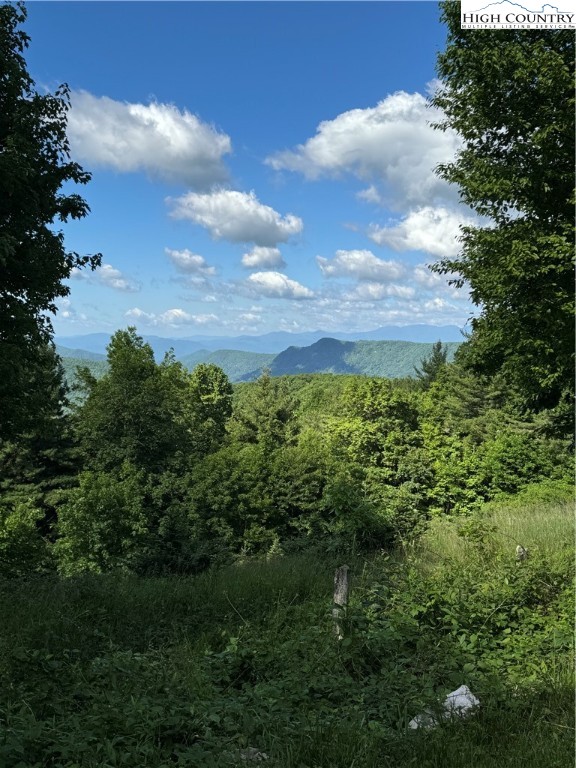 7348 Joe Johnson Street Newland, NC 28657 - Photo 25 of 32
