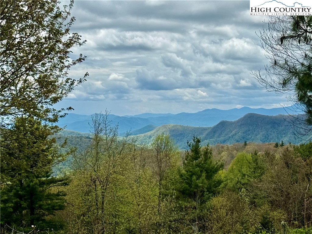 7348 Joe Johnson Street Newland, NC 28657 - Photo 27 of 32