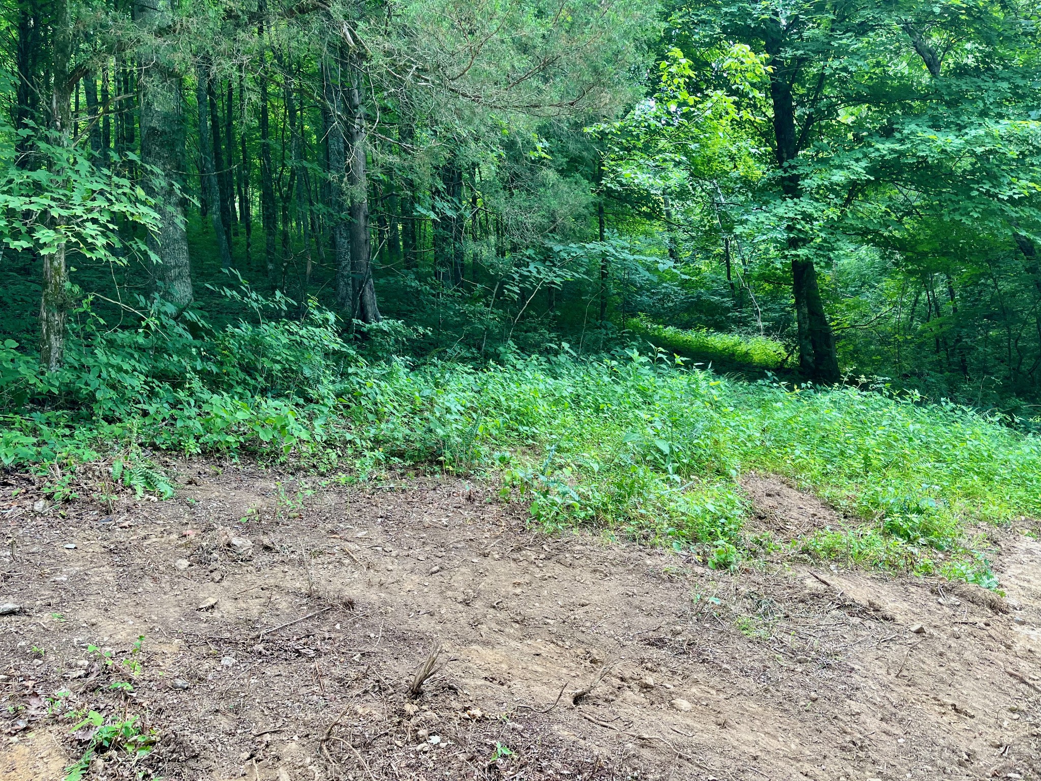135 Dillehay Hollow Road Pleasant Shade, TN 37145 - Photo 22 of 47
