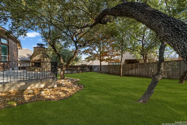 a view of a backyard with tree s