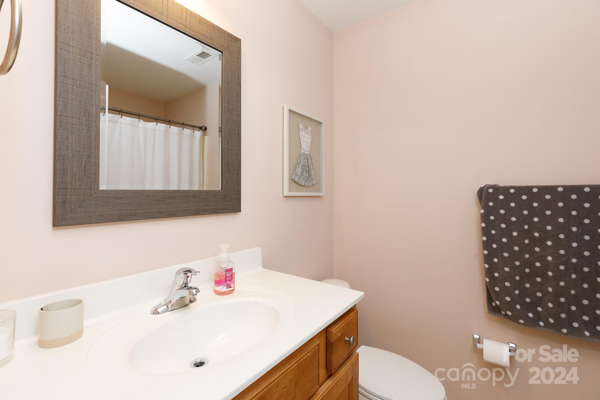 3051 Summerfield Ridge Lane Matthews, NC 28105 - Photo 17 of 23 a bathroom with a sink a toilet and mirror