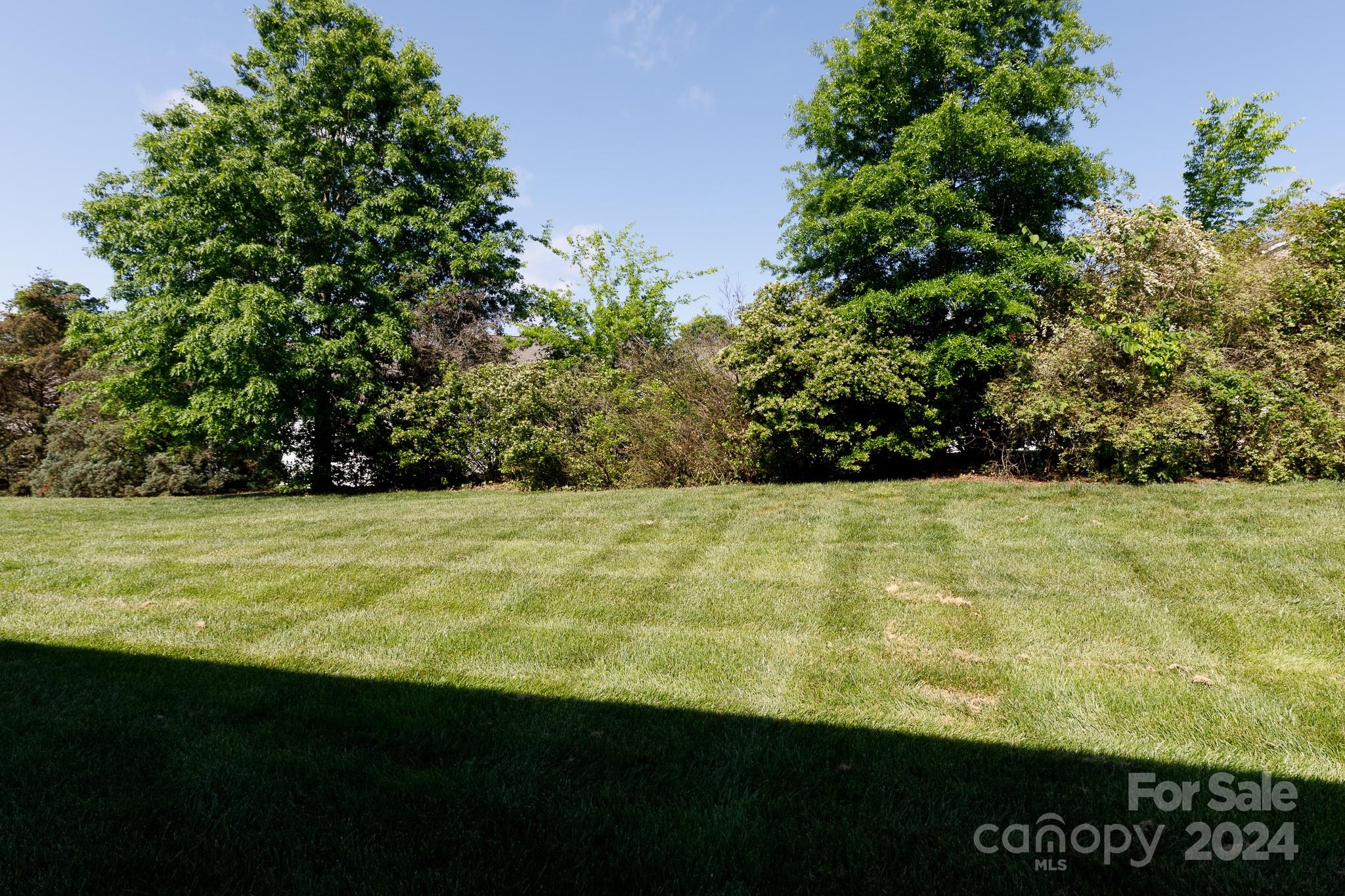 3051 Summerfield Ridge Lane Matthews, NC 28105 - Photo 21 of 23 a view of outdoor space and yard
