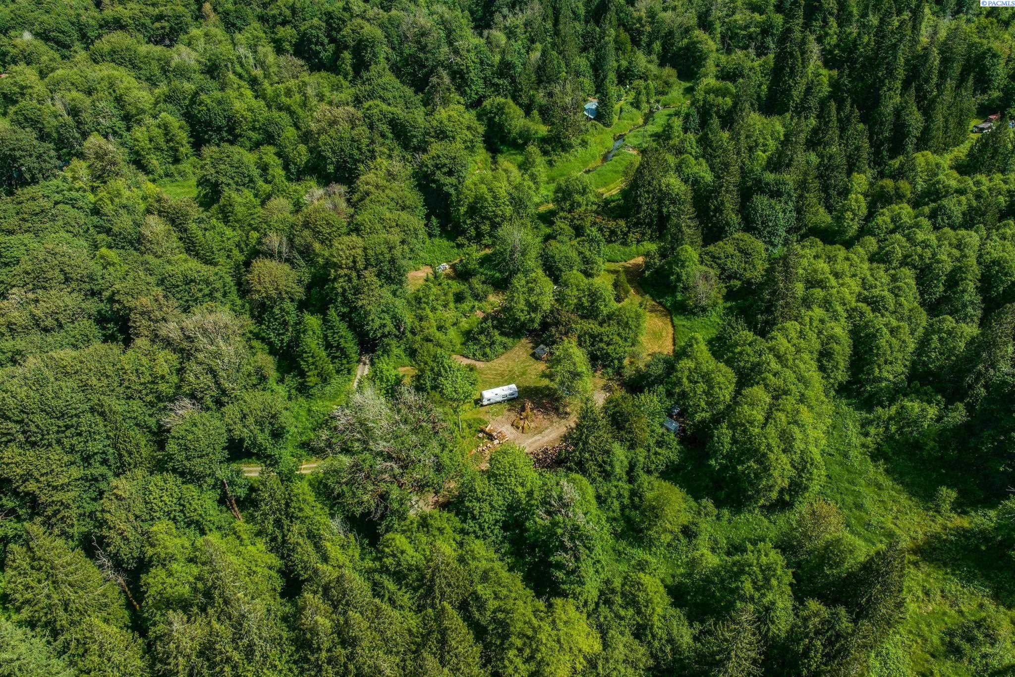 117 Cedar Grove Road Randle, WA 98377 - Photo 42 of 49 Gallery Image 42
