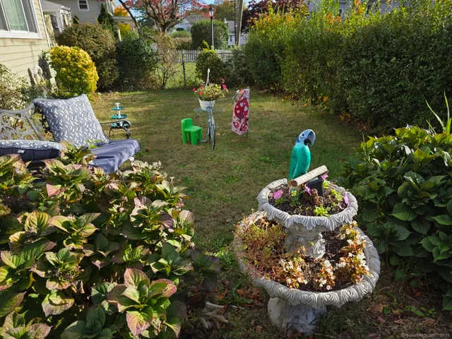 a view of a backyard with plants