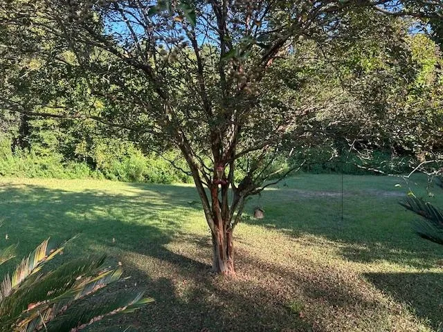 $1,800 | 4272 Cool Emerald Drive, Tallahassee, FL 32303