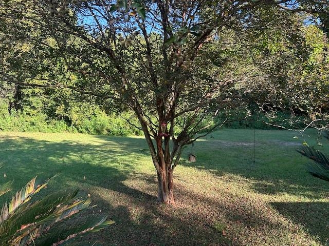 4272 Cool Emerald Drive Tallahassee, FL 32303 - Photo 14 of 24