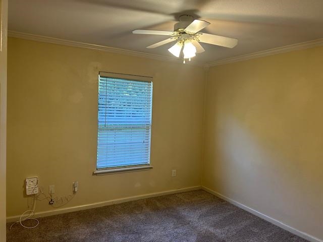 4272 Cool Emerald Drive Tallahassee, FL 32303 - Photo 5 of 24