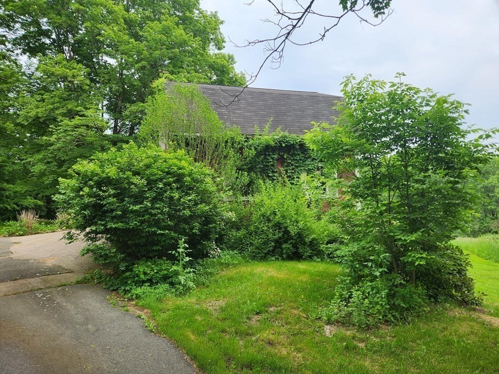 48 Main Street Wales, MA 01081 - Photo 11 of 42 a view of a garden