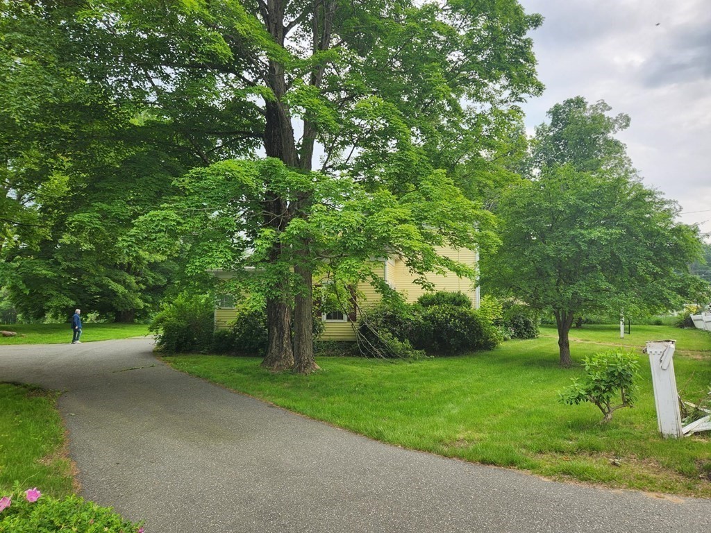 48 Main Street Wales, MA 01081 - Photo 13 of 42 a view of a street with a large trees