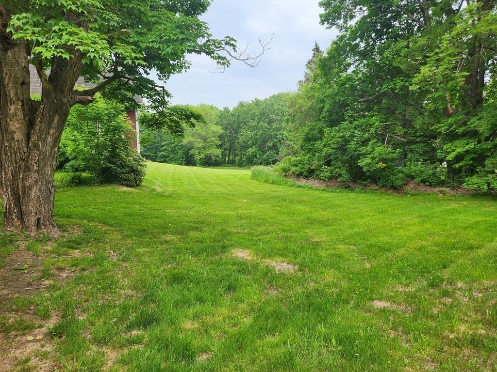 48 Main Street Wales, MA 01081 - Photo 10 of 42 a view of a grassy field with trees