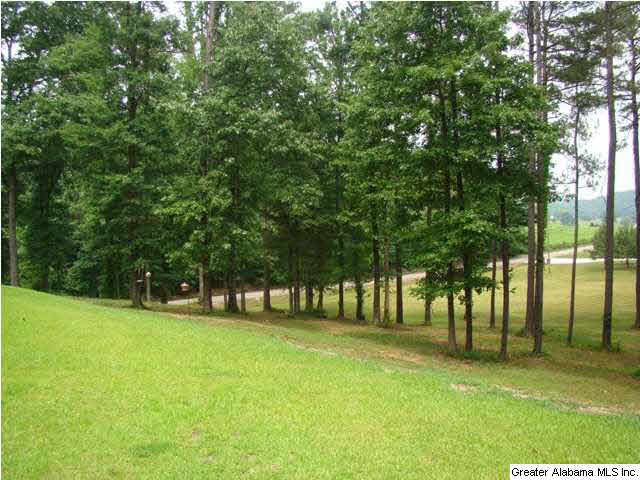 3370 Wellington Road Jacksonville, AL 36265 - Photo 29 of 29