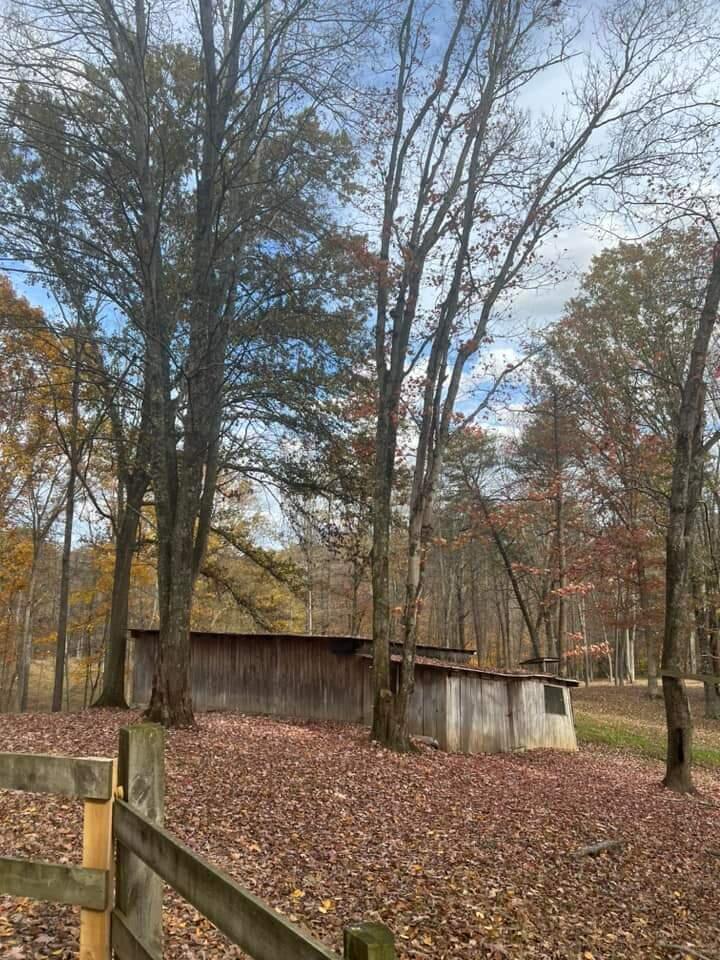 21354 Griffith Road Logan, OH 43138 - Photo 12 of 82 Griffith two
