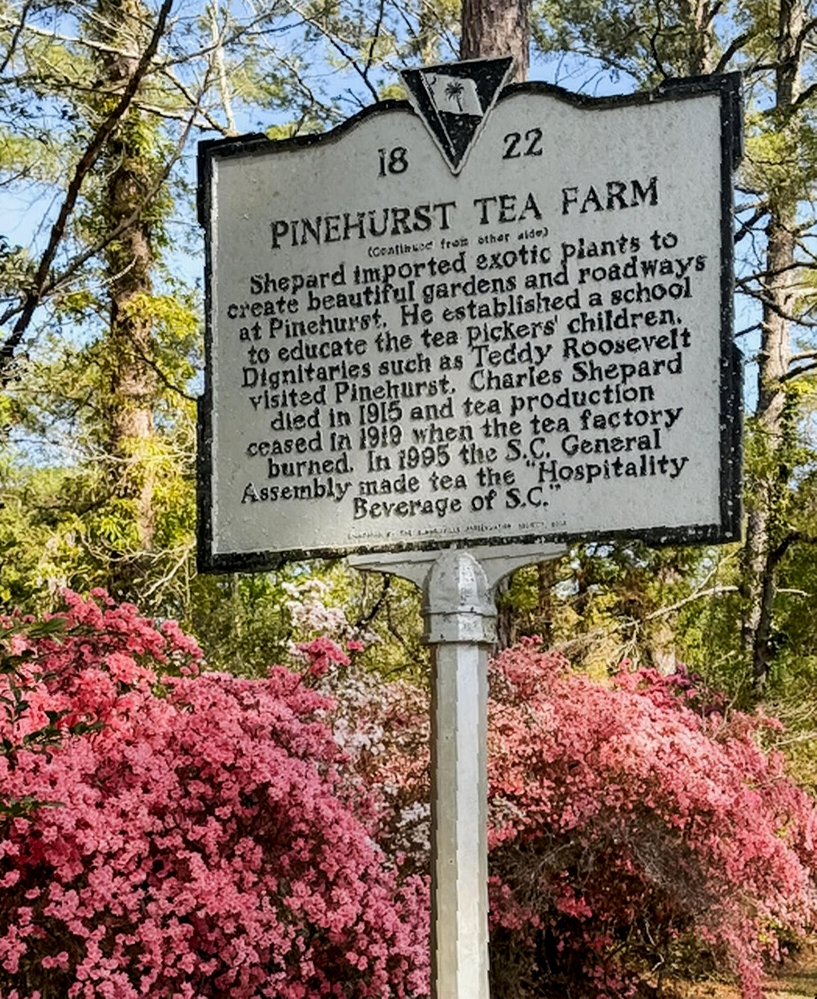 113 Tea Farm Road Summerville, SC 29483 - Photo 89 of 98 Gallery Image 89