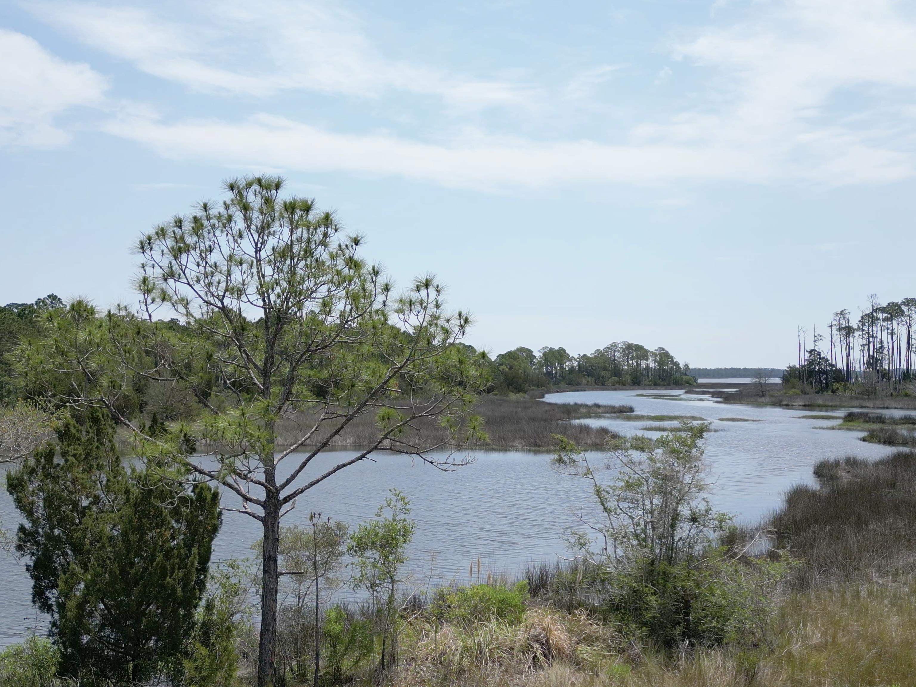 337 Levy Bay Road Panacea, FL 32346 - Photo 10 of 12