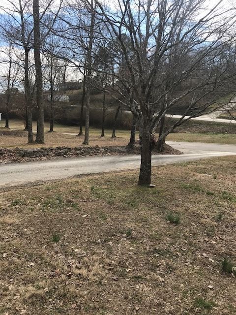 1702 Yale Road Athens, TN 37303 - Photo 3 of 9 Gallery Image 3