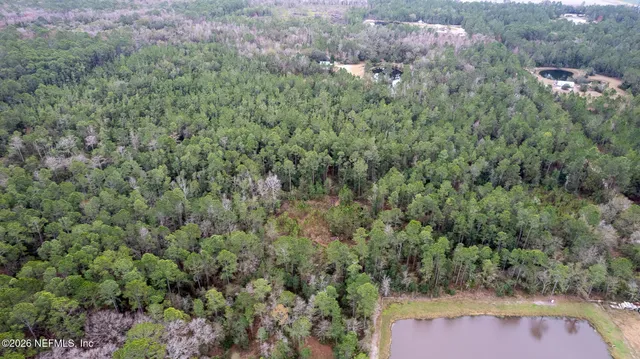 a view of a forest with a street