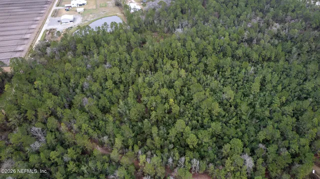 a view of a lush green forest
