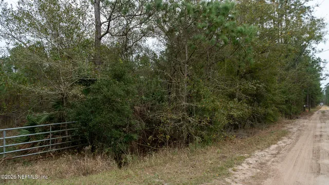 a view of outdoor space and yard