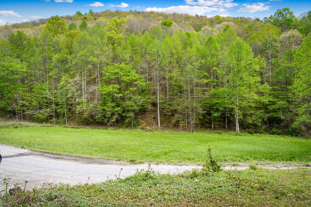 891 Bushy Head Road Cherry Log, GA 30522 - Photo 12 of 24