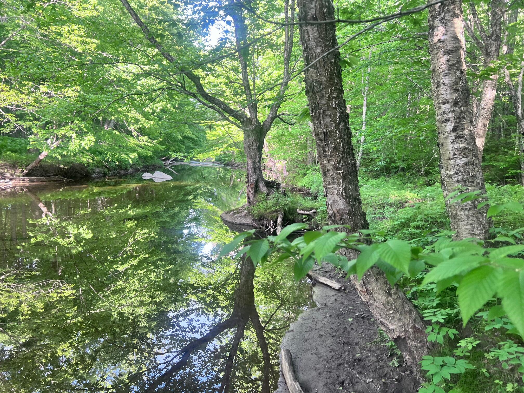 39 East Pond Road Oakland, ME 04963 - Photo 1 of 15 IMG_6960