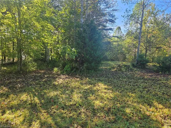 $65,000 | 0 Dodgetown Road, Walnut Cove, NC 27052