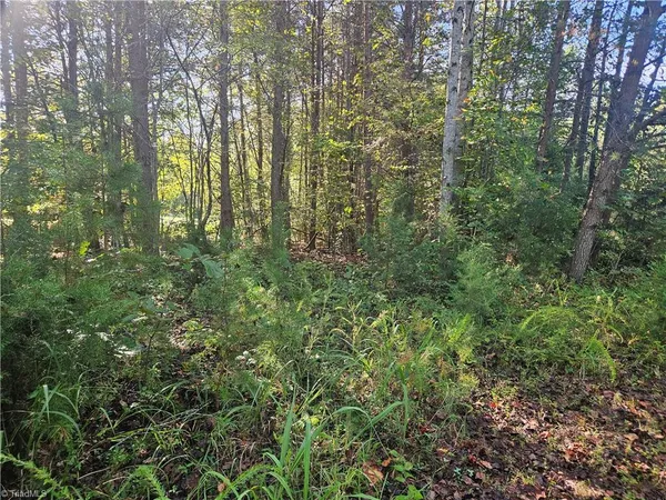 $65,000 | 0 Dodgetown Road, Walnut Cove, NC 27052