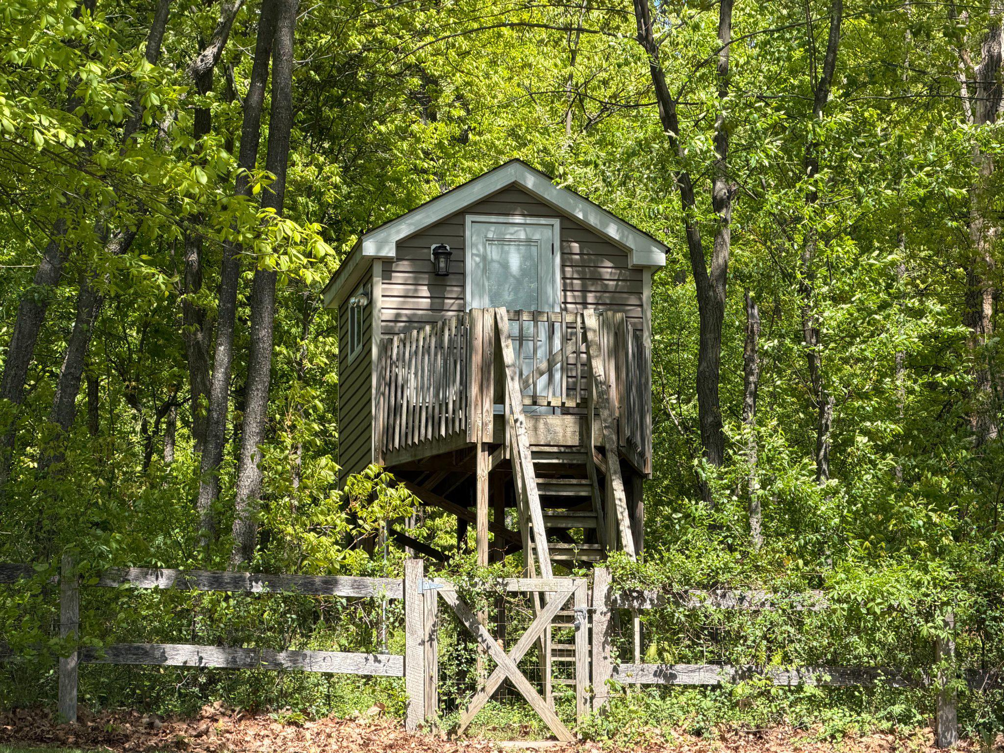 4001 Young Road Manchester, MD 21102 - Photo 60 of 65 Finished treehouse.