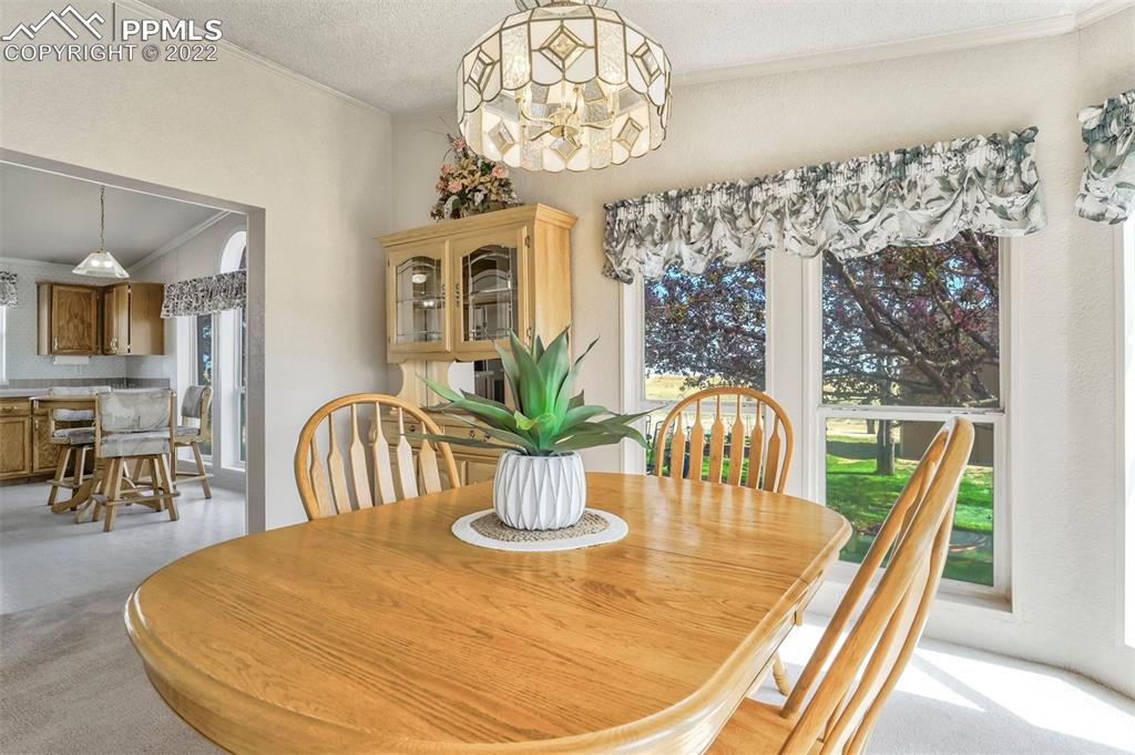 39875 Judge Orr Road Rush, CO 80833 - Photo 23 of 47 a view of a dining room with furniture a chandelier and wooden floor