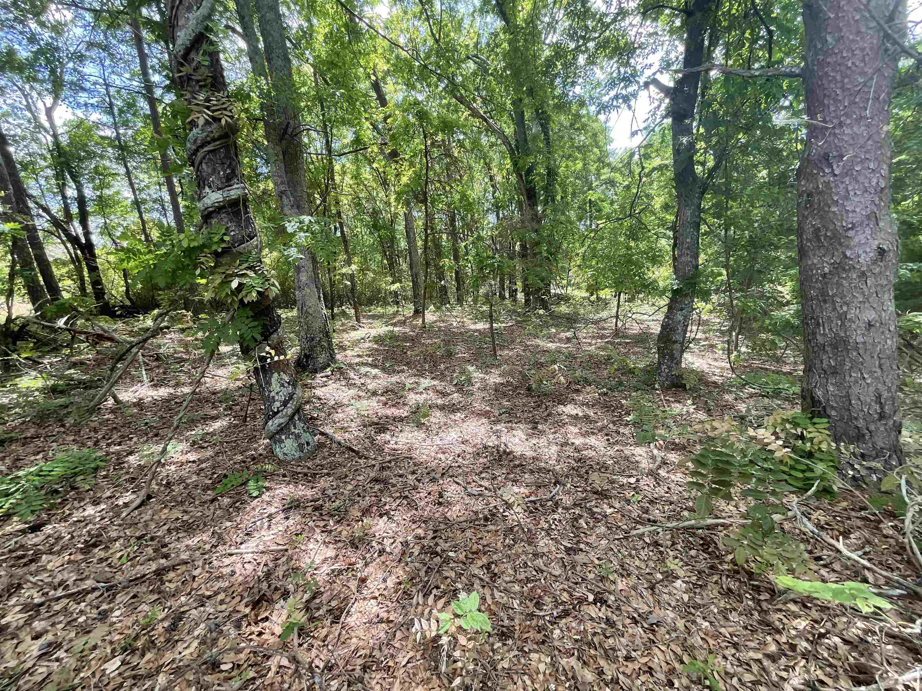 561 West Main Street Pacolet, SC 29372 - Photo 2 of 2 Gallery Image 2