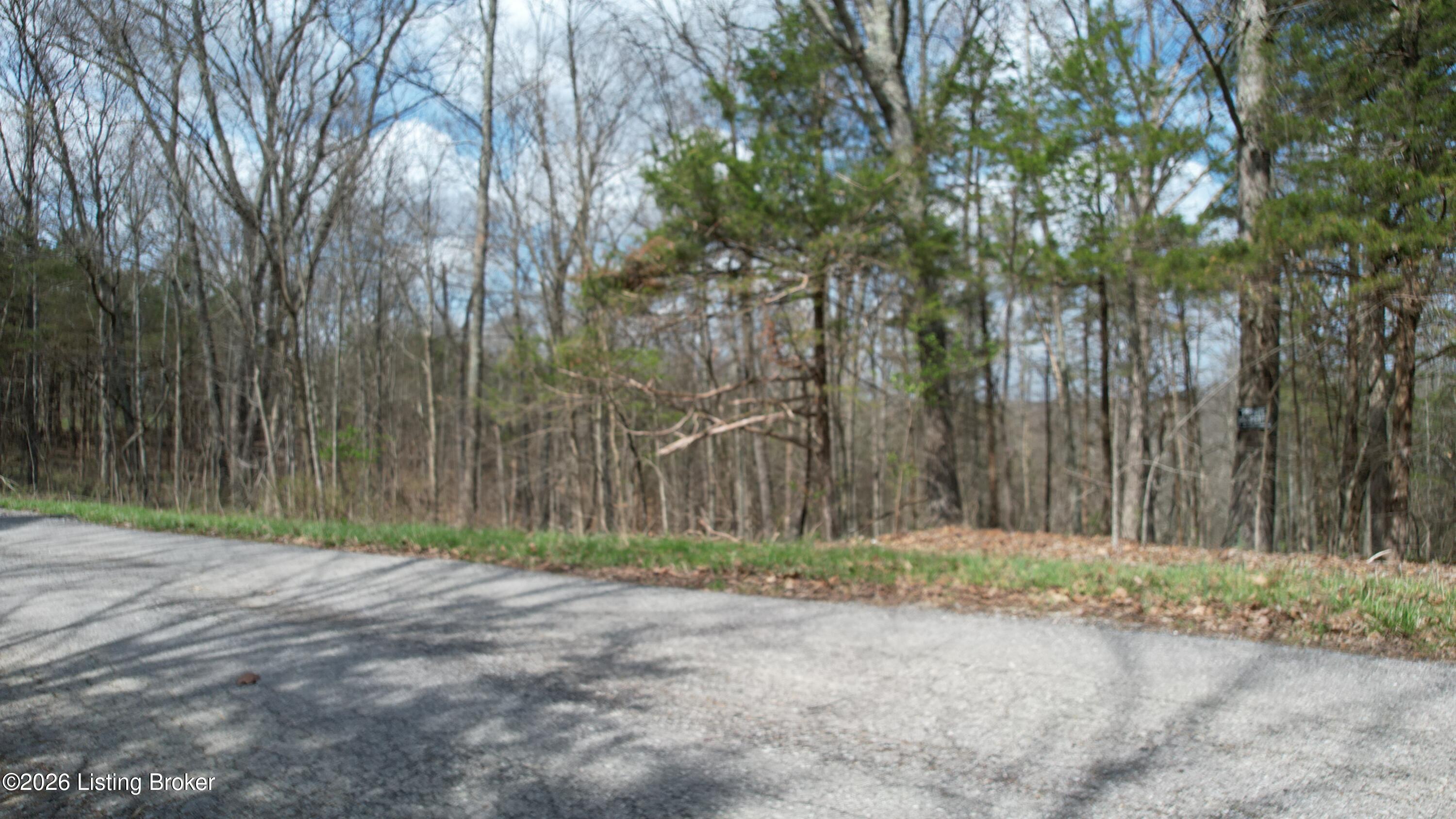 0 Fox Trail Road Corinth, KY 41010 - Photo 8 of 34 DJI_0040