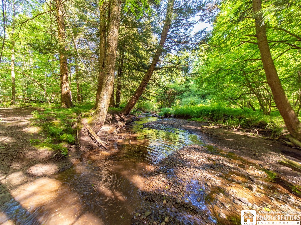 3946 Camp Road Sherman, NY 14781 - Photo 34 of 48