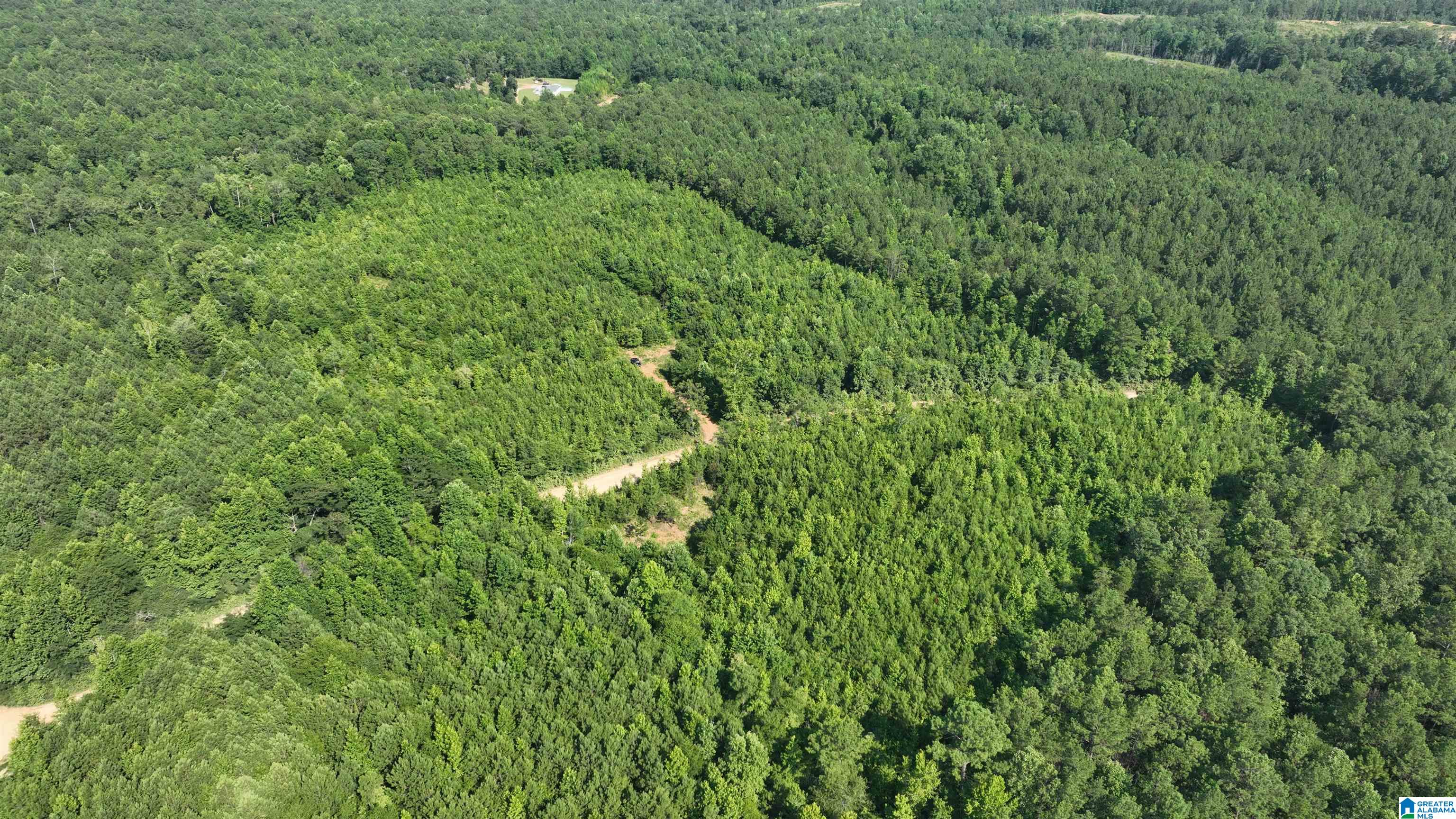 2 County Road 253, Unit 2 Clanton, AL 35046 - Photo 25 of 40