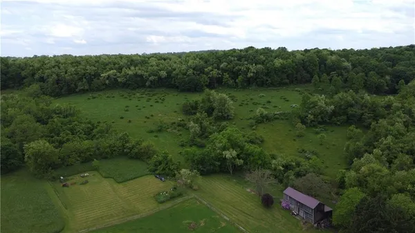 a view of a lush green forest with lots of trees