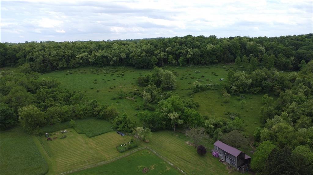 a view of a lush green forest with lots of trees