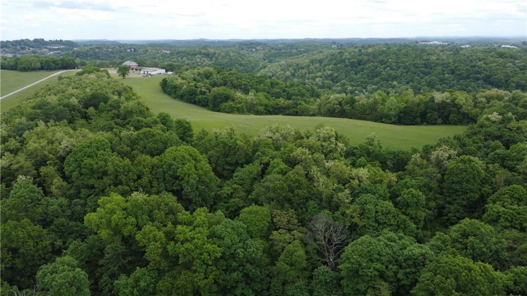 9999 Mckee Road McKeesport, PA 15131 - Photo 5 of 16 a view of a green yard with large trees