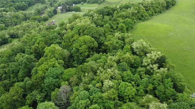 an aerial view of residential house with outdoor space and trees all around